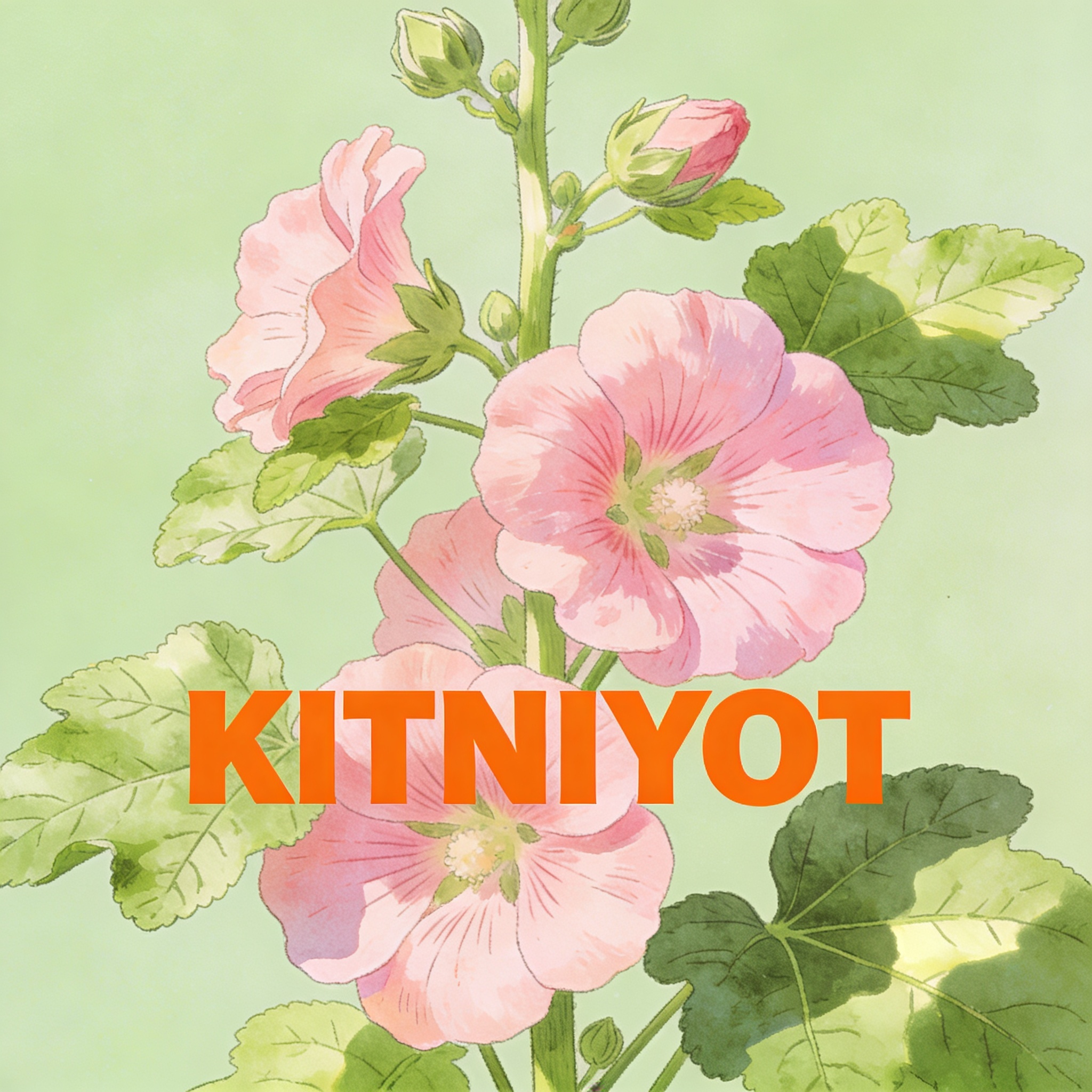 מלקיי