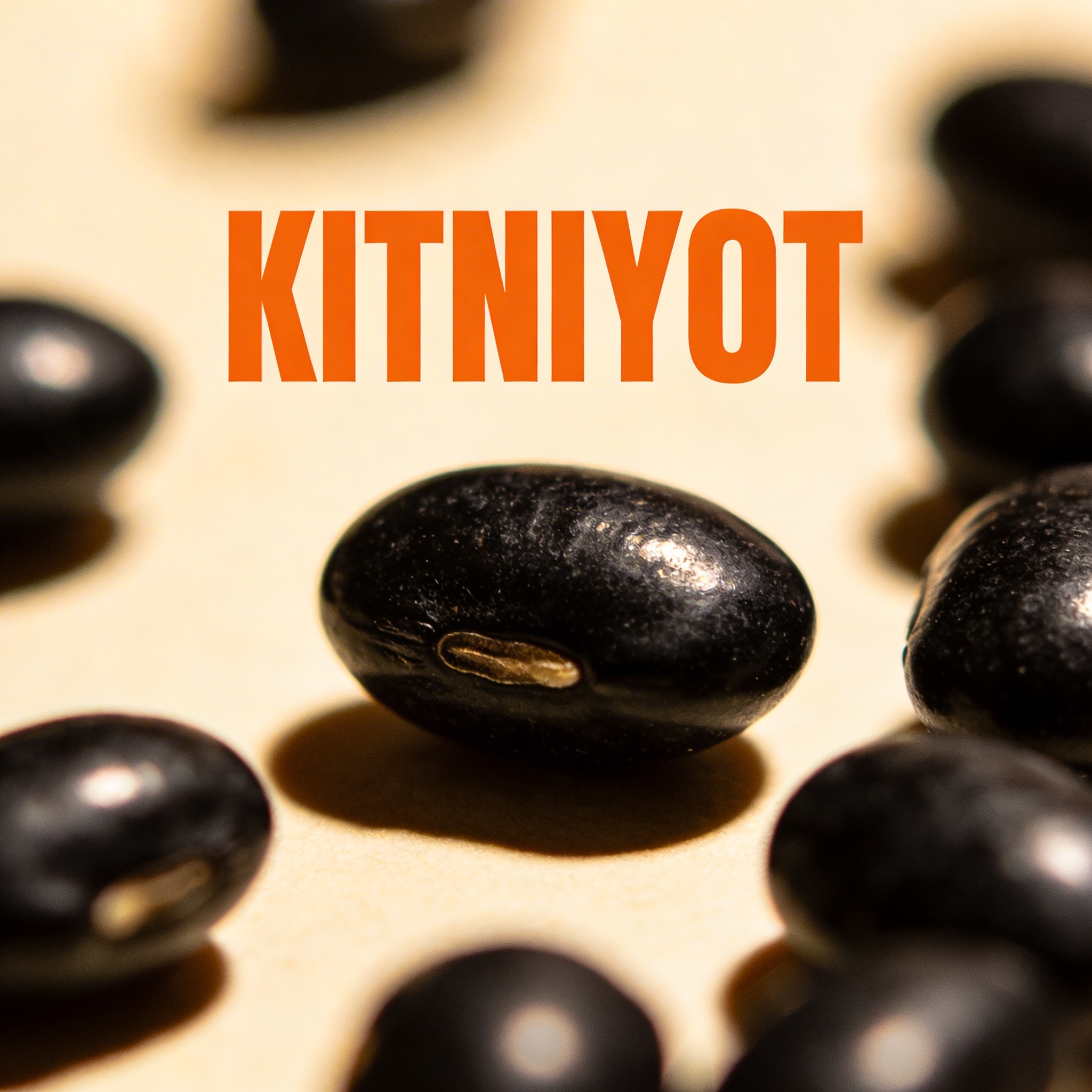 עדשים+שחורות